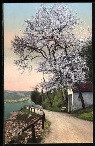 AK Gmunden /Salzkammergut, Partie unterm Stein