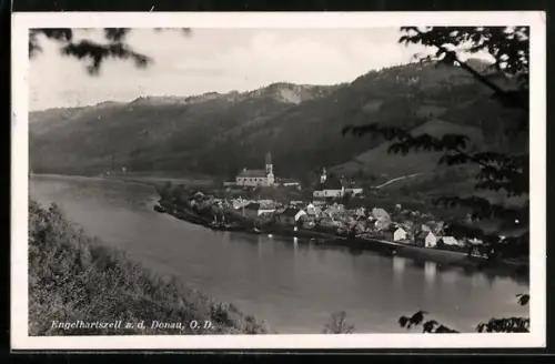 AK Engelhartszell a. d. Donau, Panorama mit Donauufer