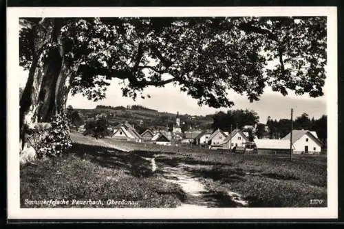 AK Peuerbach /Oberdonau, Panorama mit Uferpartie