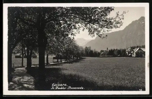 AK Goisern, Promenade mit Deubler-Promenade
