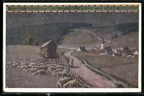 Künstler-AK Paul Hey: Schafe schlafen auf der Wiese, Verein für das Deutschtum im Ausland