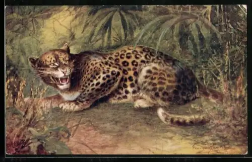 Künstler-AK Aggressiv fauchender Leopard im Unterholz