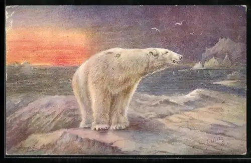 Künstler-AK Eisbär auf einer Scholle im Eismeer