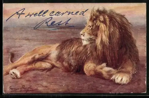 AK Löwe rastet in der Savanne