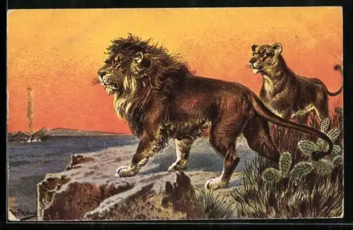 Künstler-AK F.Perlberg: Löwenpaar auf einem Felsen mit Kakteen