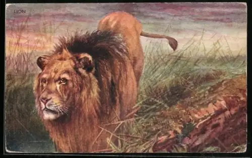 Künstler-AK Löwe nähert sich dem Wasserloch