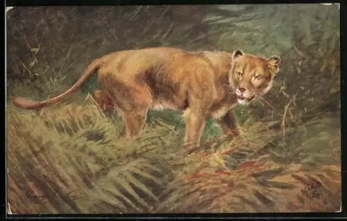 Künstler-AK Löwin im Wald