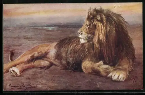 Künstler-AK Liegender Löwe in der Steppe