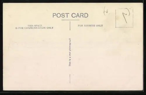 AK Berlin, Junge Löwen auf einer Bank im Zoo