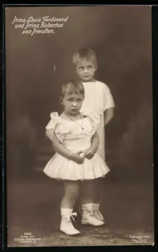 AK Prinz Louis Ferdinand und Prinz Hubertus von Preussen, stehend