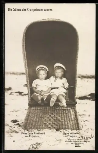 AK Söhne des Kronprinzen Wilhelm von Preussen, Prinz Louis Ferdinand, Prinz Wilhelm