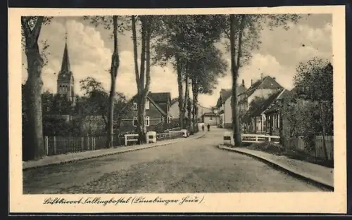 AK Fallingbostel / lüneburger Heide, Strassenpartie im Ort
