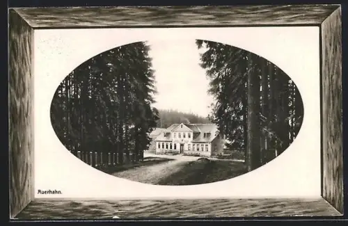AK Auerhahn / Thür. Wald, Gasthaus zum Auerhahn, Passepartout