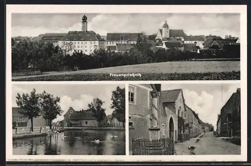 AK Frauenpriessnitz, Teilansicht, Strassenpartie mit Denkmal, Uferpartie
