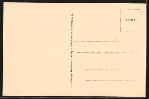 AK Steinburg / Saale, Kirche und Schloss, Felsenquelle, Wasserfall