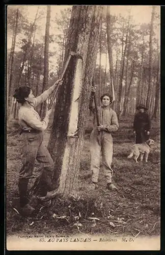 AK Au Pays Landais, Résinières, Forstwirtschaft