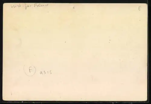 AK Blinder Junge mit augestopften Tiger, Blindeninstitut St. Henricus