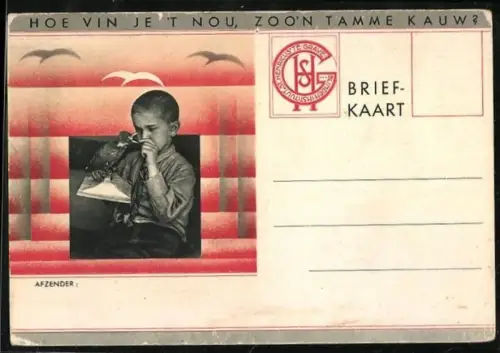 AK Blinder Junge mit einem ausgestopften Vogel, Blindeninstitut St. Henricus