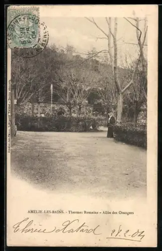 AK Amélie-les-Bains, Thermes Romains, Allée des Orangers