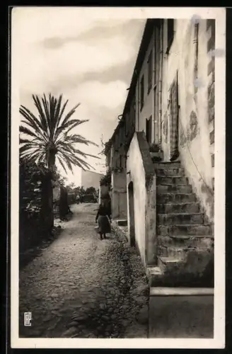 AK Collioure, Une vieille rue du faubourg