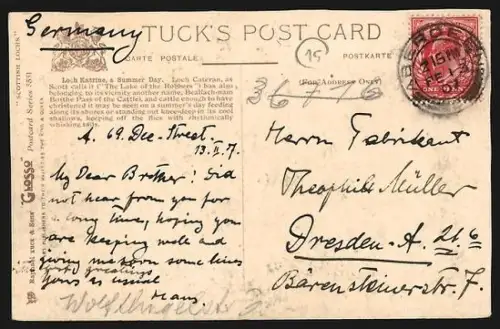 AK Loch Katrine, Cattle on the banks of Loch Katrine on a summer day