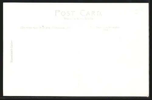 AK Loch Lomond, View of the lake with Ben Lomond in the background, steamer on the lake