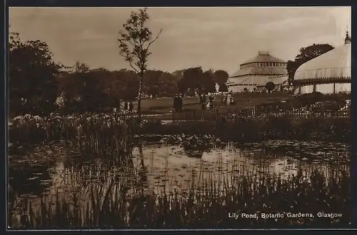 AK Glasgow, Lily Pond, Botanic Gardens