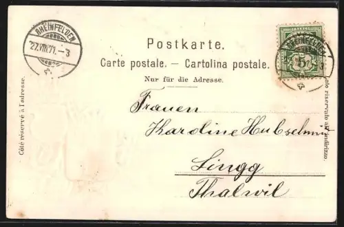 Lithographie Rheinfelden, Grand-Hotel des Salines