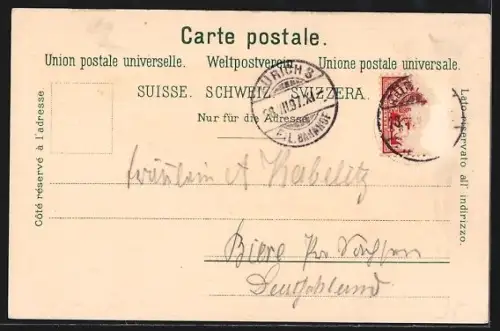 Lithographie Luzern, Ortsansicht mit Rigi und Pilatus, Schwizerhof & Luzernerhof