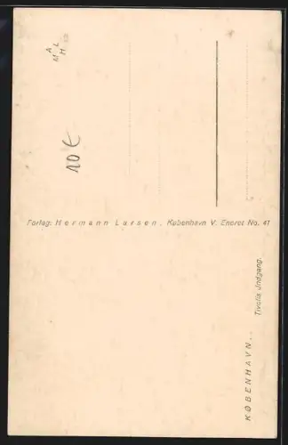 AK Kobenhavn, Tivoli Indgang