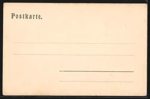 AK Graz, Strassenbahn in der Herrengasse, Pferdekutsche