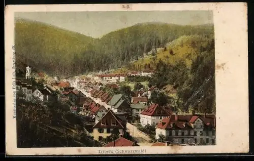 AK Triberg /Schwarzwald, Ortsansicht im Tal