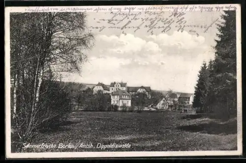 AK Borlas /Dippoldiswalde, Blick in den Ort
