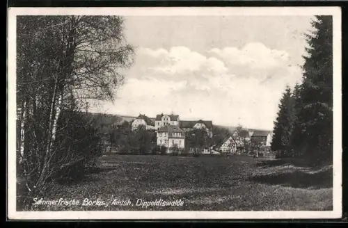 AK Borlas /Dippoldiswalde, Durchblick zum Ort