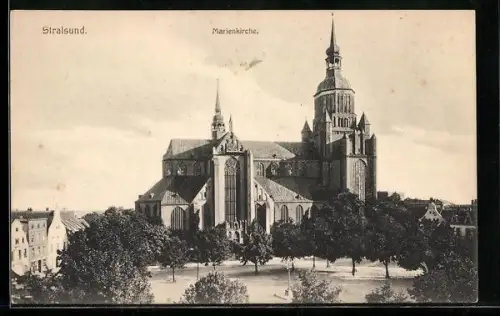 AK Stralsund, Blick zur Marienkirche