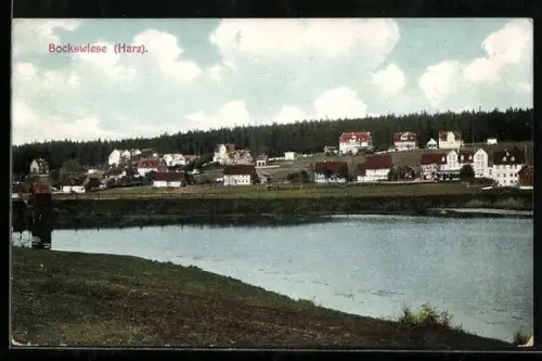 AK Bockswiese /Harz, Ortsansicht mit Wohnhäusern