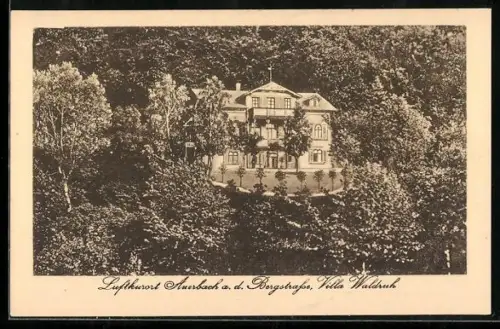 AK Auerbach a. d. Bergstrasse, Villa Waldruh