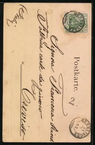 AK Ulm a. D., Münster