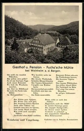 AK Weinheim a. d. Bergstr., Gasthof und Pension Fuchs`sche Mühle
