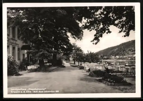 AK Krippen a. d. Elbe, Landgasthaus Ziegelscheune