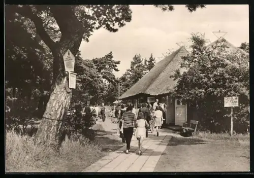 AK Loissin-Ludwigsburg, Strandweg mit Reetdachhaus und Spaziergängern