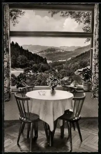 AK Weschnitz /Odenwald, Erbacher Hof, Restaurant, Panoramablick