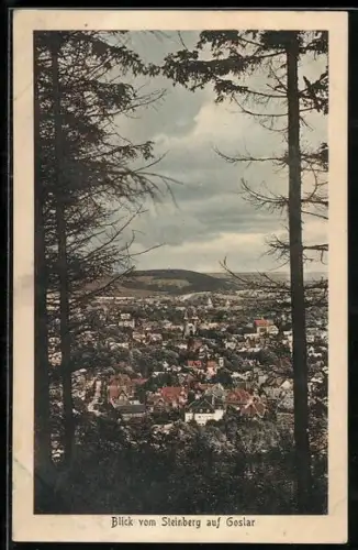 AK Goslar, Blick vom Steinberg auf die Stadt