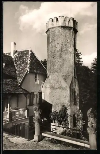 AK Neukastel bei Landau /Pfalz, Siegfriedturm