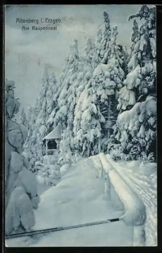 AK Altenberg i. Erzgeb., Am Raupennest