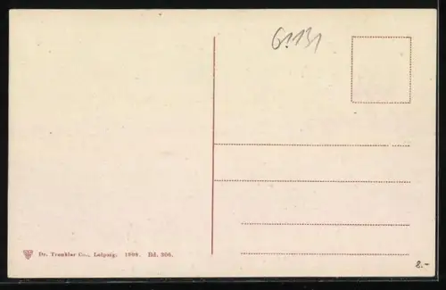 AK Walzenhausen, Ortsansicht mit Blick auf den Bodensee und den Rhein