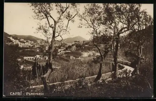 AK Capri, Panoramablick zum Ort