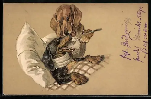 Künstler-AK Kranker Dackel schluckt Medizin