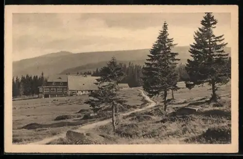 AK Schlingelbaude mit Tannen