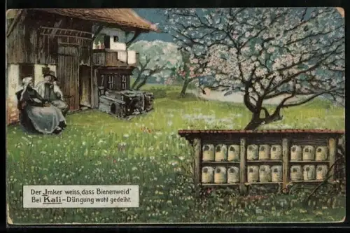 AK Bienenstock unter einem blühenden Kirschbaum